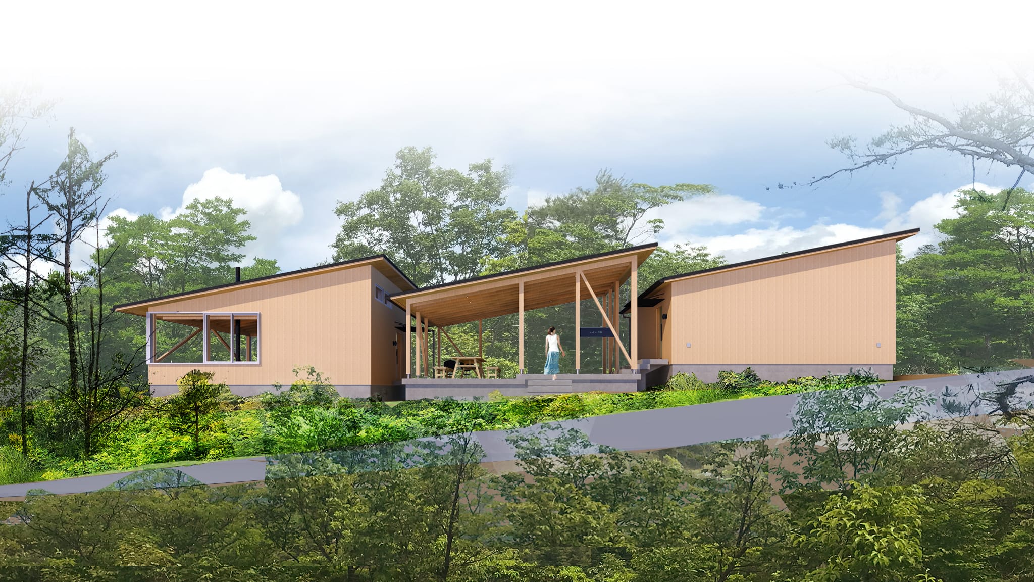 meet tree SOMADO -ENAKYO-