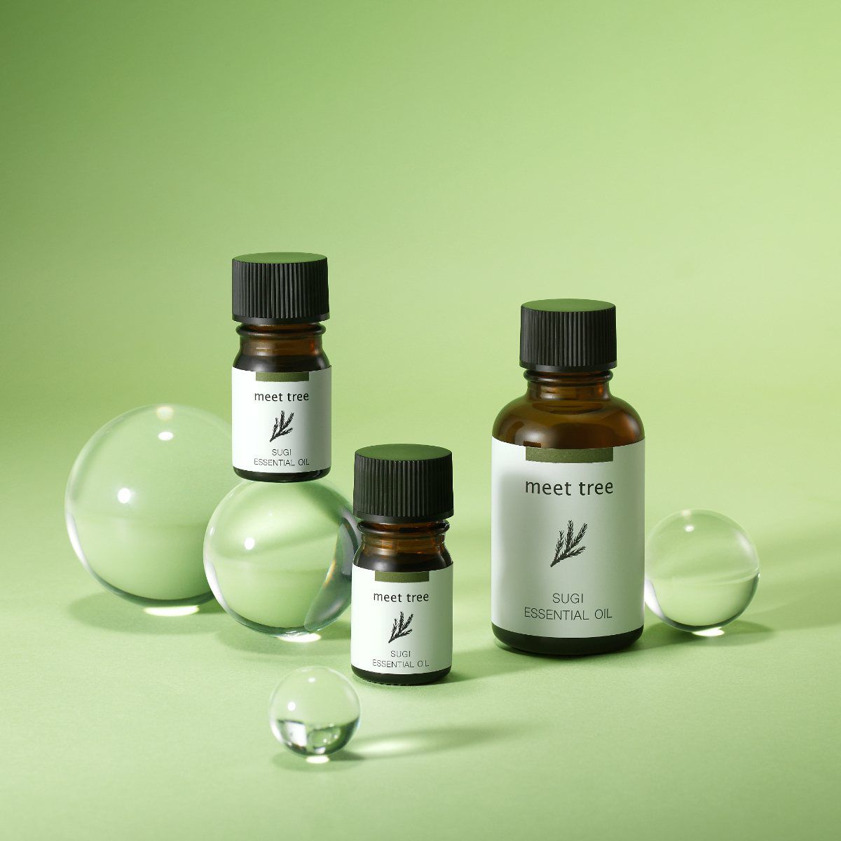 meet tree　精油（スギ）5ml / 30ml 　杉　正面