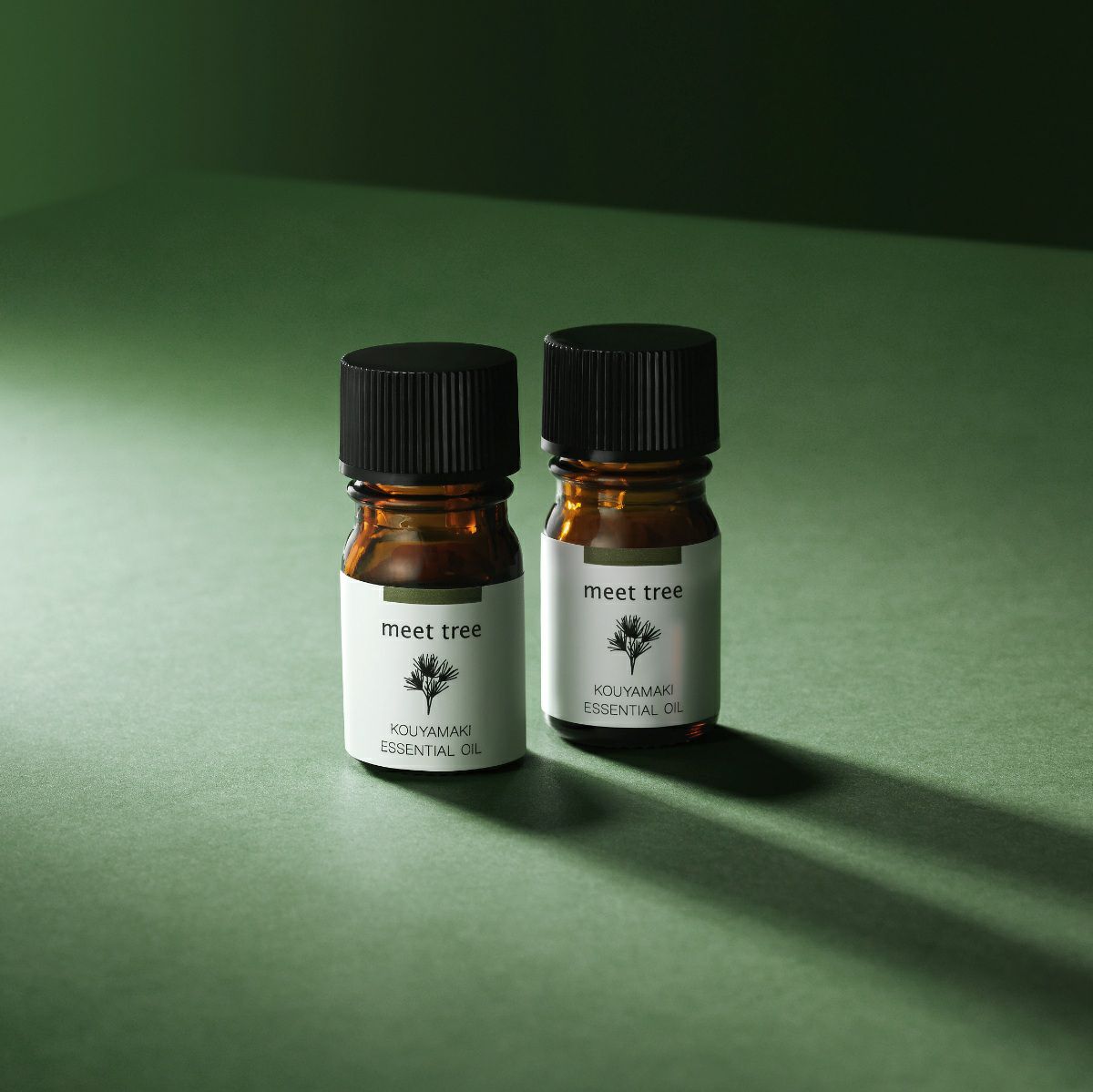 meet tree　 精油（コウヤマキ） 5ml　コウヤマキ　イメージ画像