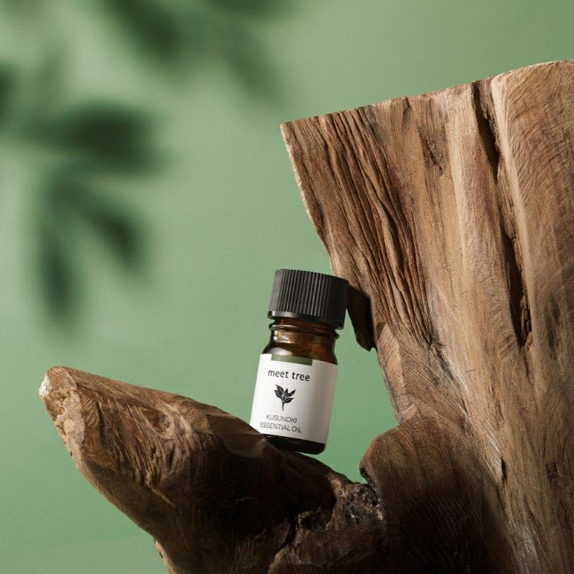 meet tree　精油（クスノキ）  5ml / 30ml 　クスノキ　イメージ写真